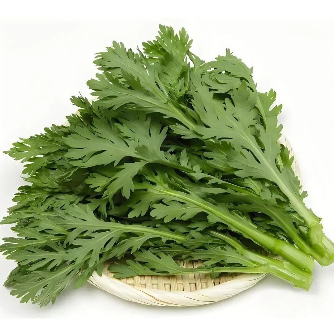 利咽化痰时令菜——茼蒿