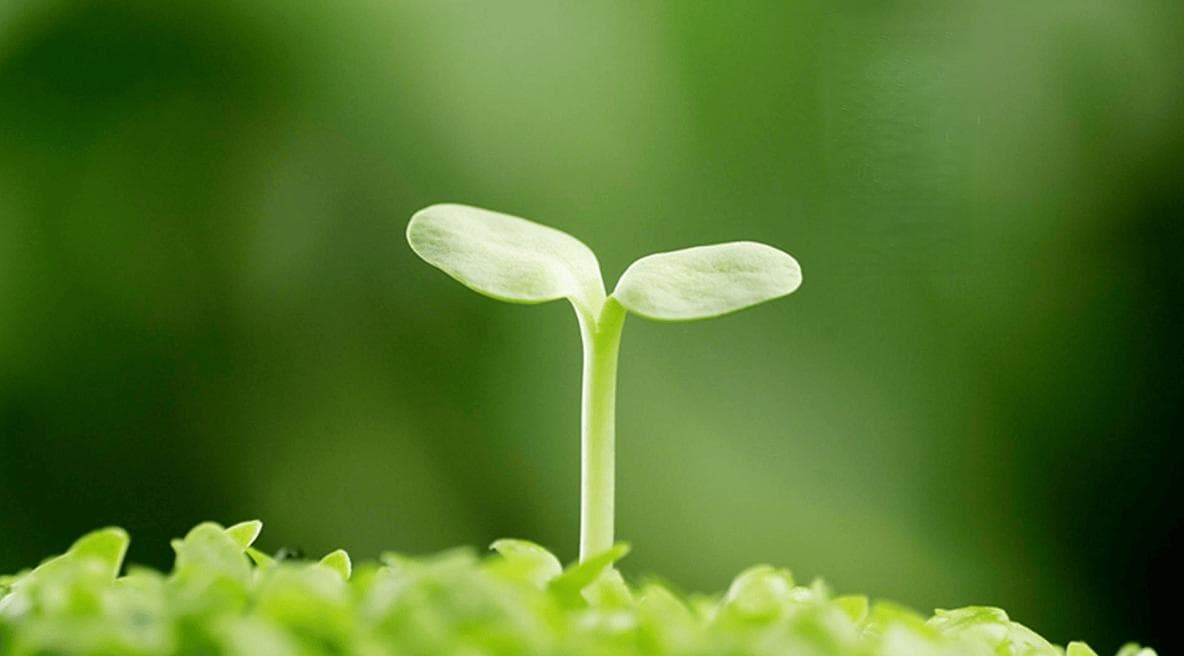 春季皮肤病高发期，需从生活细节做起