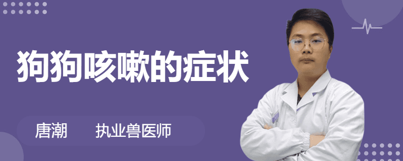 狗狗咳嗽怎么办？症状、原因、治疗与预防全攻略