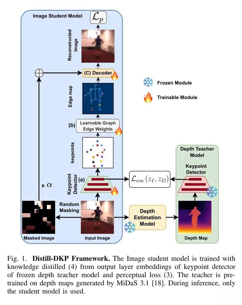 Distill-DKP：利用深度图与 RGB 图像，优化自监督关键点检测