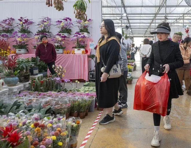 行业观察 | 广州花卉市场年味渐浓：线上销售占比增大，文旅结合趋势明显