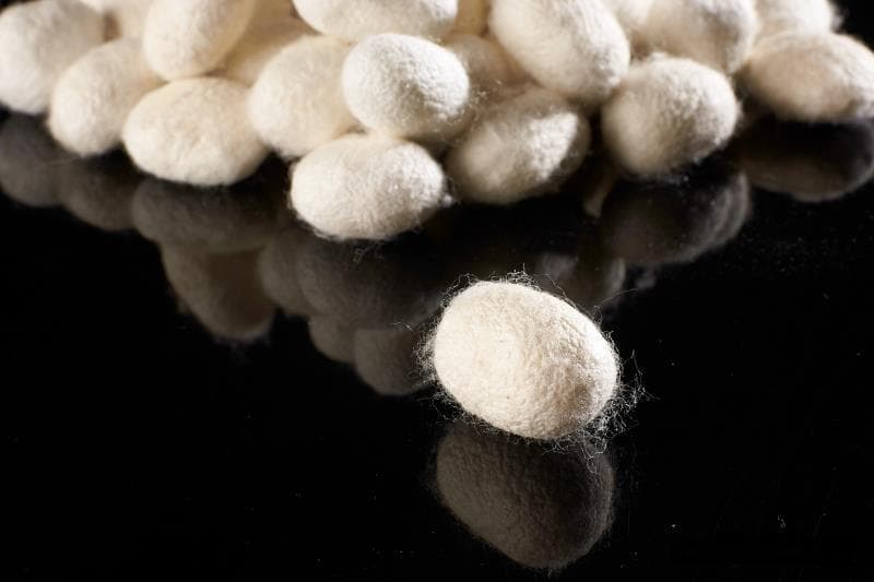 蚕丝被之蚕茧的颜色，蚕丝颜色知多少？