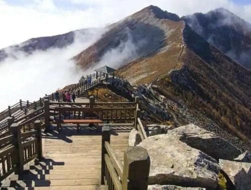 红河谷森林公园：秦岭深处的“幽、奇、峻、秀”胜地