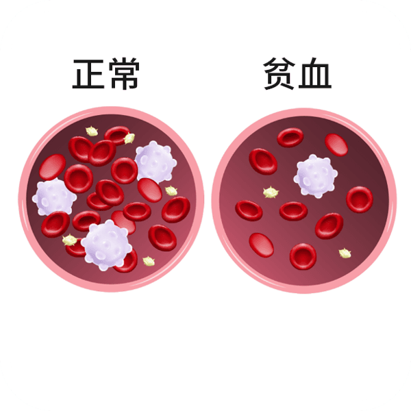 老年人脸色苍白没有血色是什么原因