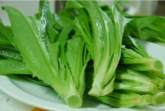 油麦菜的营养价值与功效：从营养成分到食用禁忌的全面解析