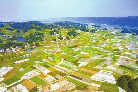 在万里长江第一湾，开启绿色生态之旅