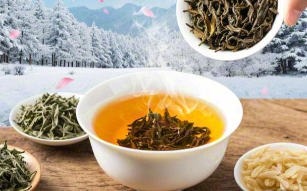 正山小种适合什么季节饮用