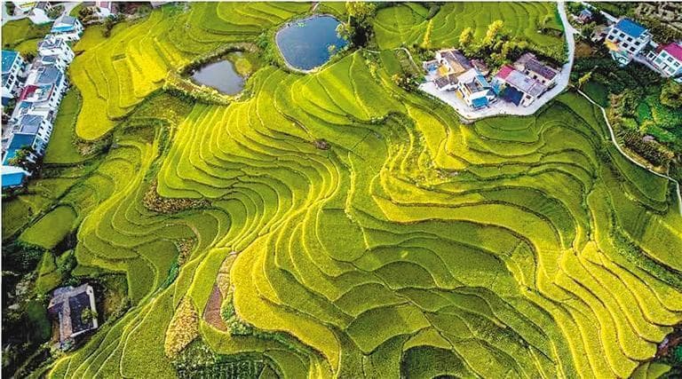凤堰梯田、郑国渠等入选世界灌溉遗产，展现中国古代水利成就