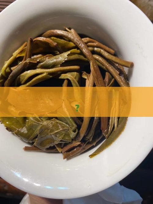 探索茶：哪种茶对健康最有益？