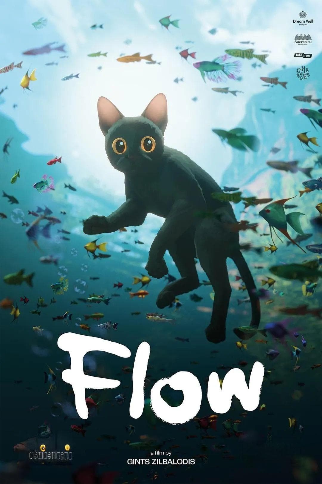 小猫冲进奥斯卡：拉脱维亚动画电影《猫猫的奇幻漂流》全球获奖记