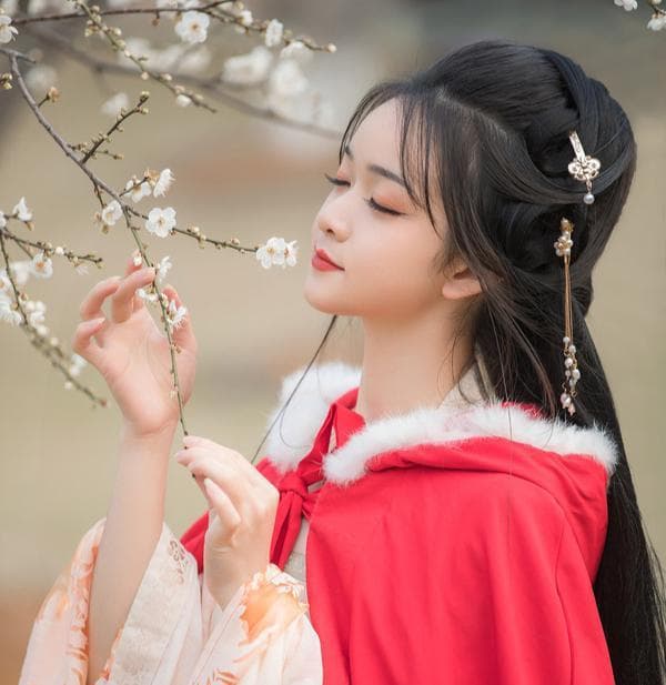梅花诗词太多？这4首七绝咏梅突破传统，画面意境如佳人款款走来