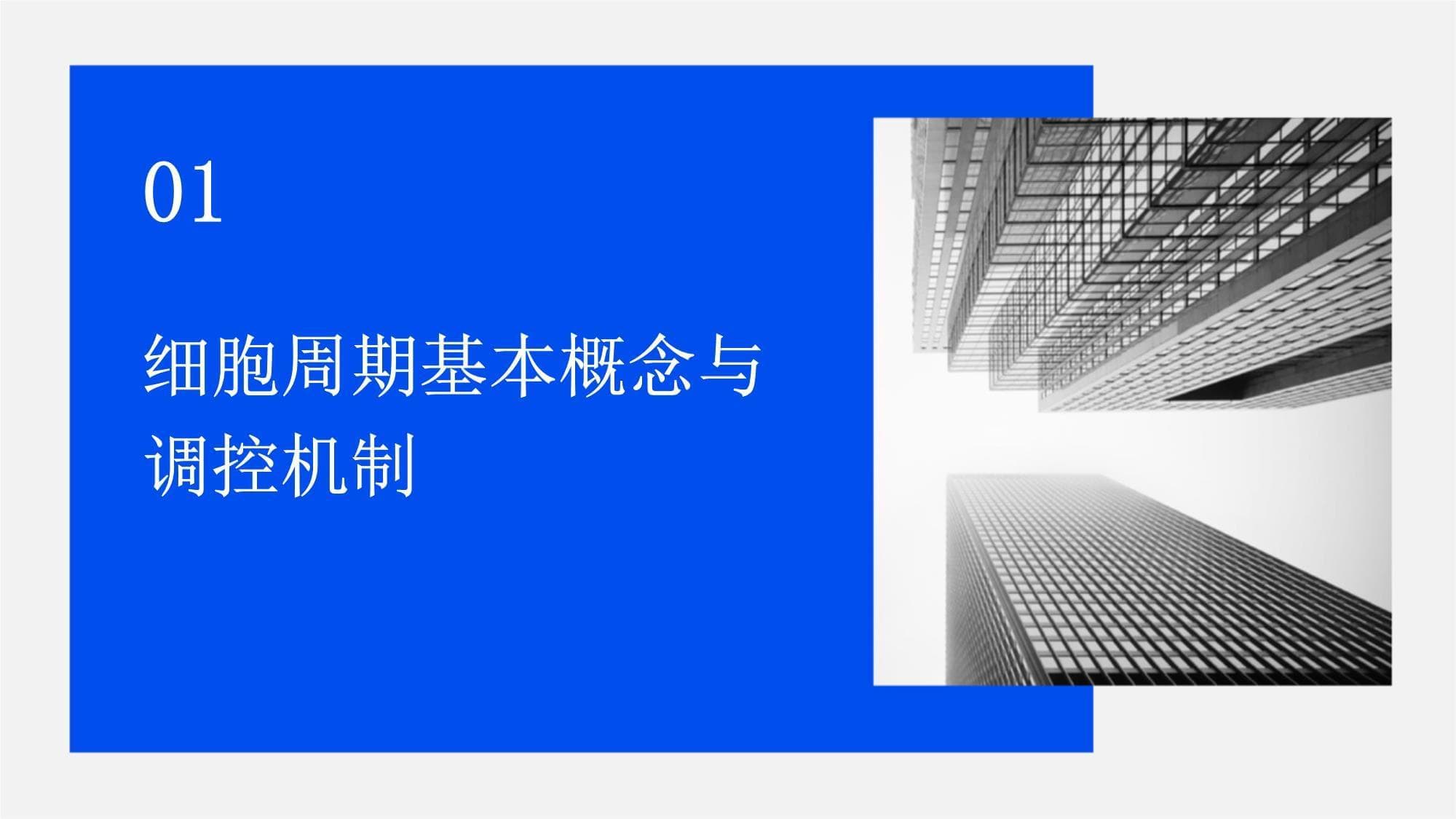 细胞周期调控新靶点：从基础研究到临床应用