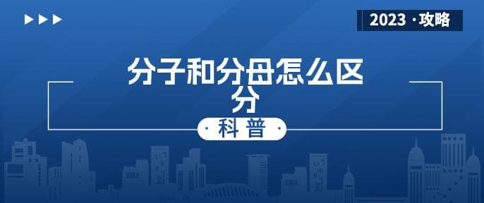 分子和分母怎么区分