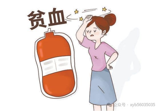 5种中药方剂拯救难治贫血，医生都在用！