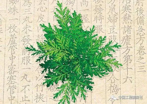 陈香美院士:新形势下中西医结合医学的发展思考