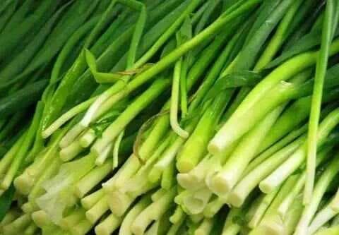 老菜农教你挑韭菜：看到“这2种”白送都不要，现在知道正是时候
