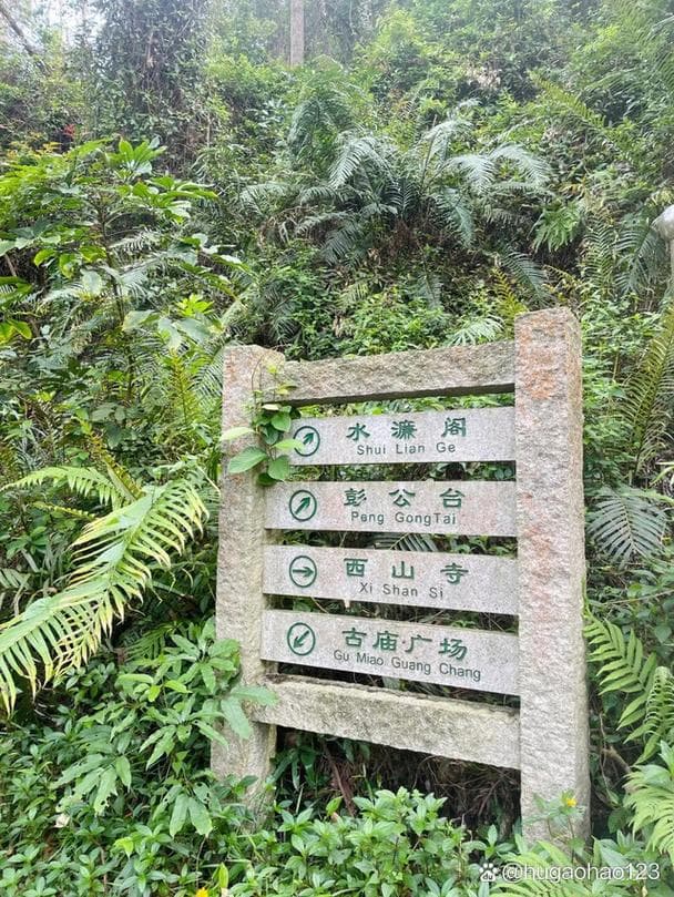 水濂山森林公园是哪里？