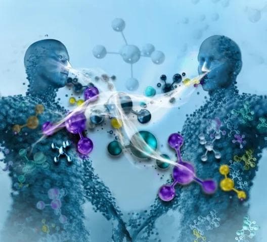 新研究推翻传统认知：人类嗅觉时间分辨率达60毫秒
