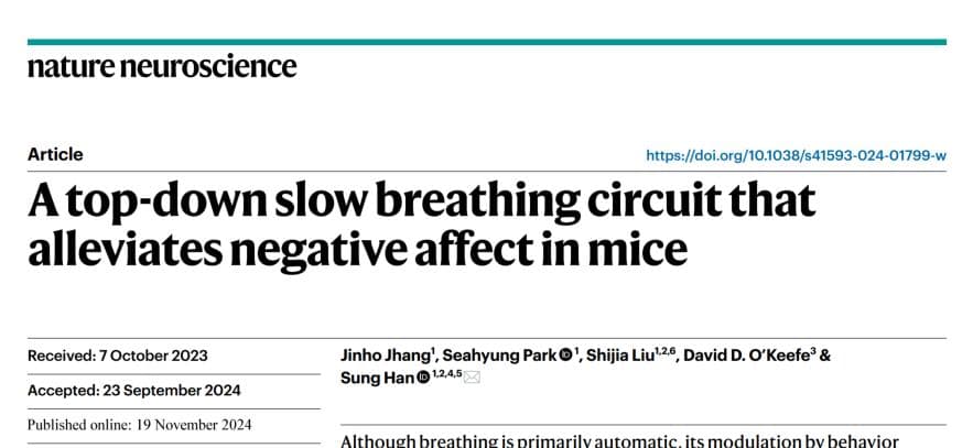 Nat Neurosci最新研究：大脑如何通过特定神经回路调节呼吸与情绪