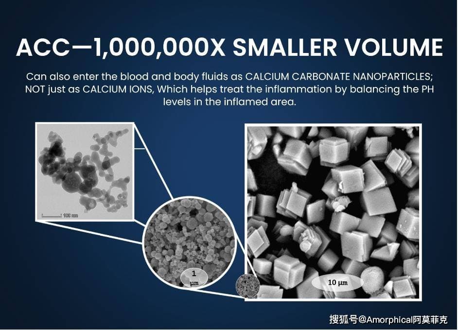 科学补钙指南：解锁食物与钙片选择的健康密码