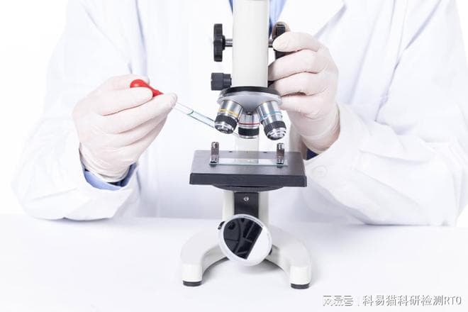 营养成分含量测试：探索食物的真面目