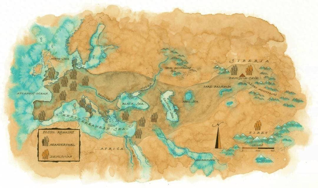 最新研究：20万年间现代人与尼安德特人发生三次基因交流