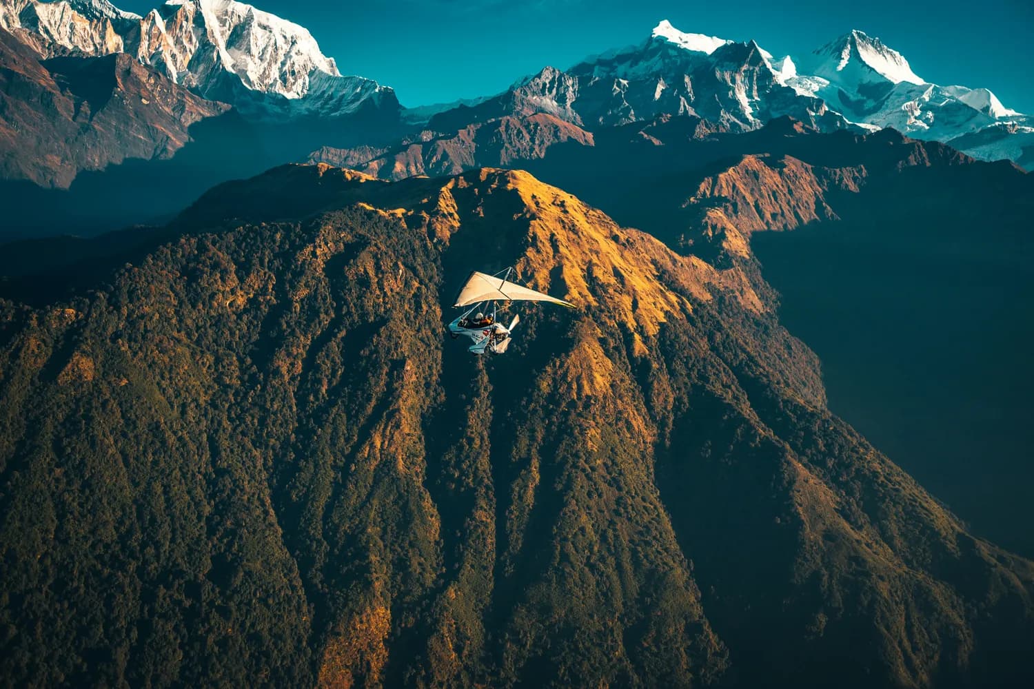 青城后山景区：5A级景点的商业运营秘籍