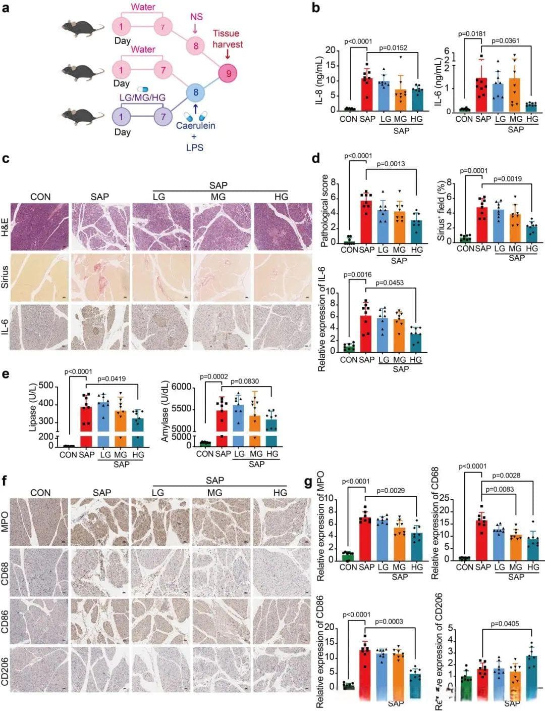 Nature子刊：GV-971治疗重症急性胰腺炎新突破