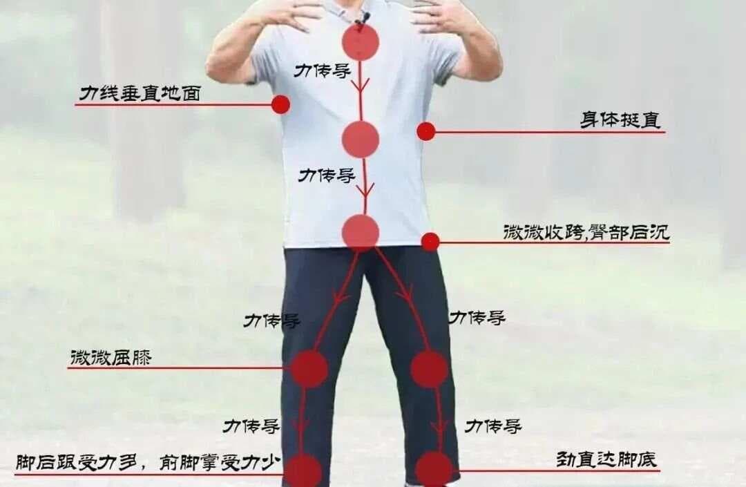站桩过程中下肢的力量支撑与技巧