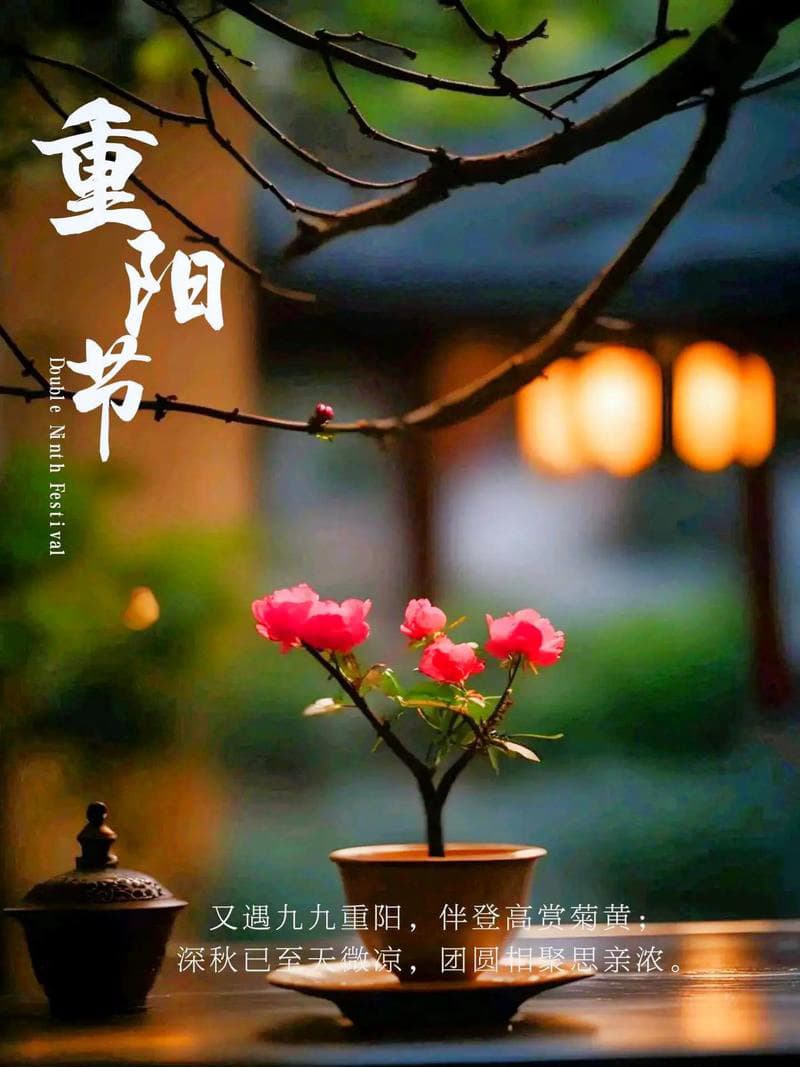 无诗词不重阳！关于重阳节的十首经典诗词，你读过几首？