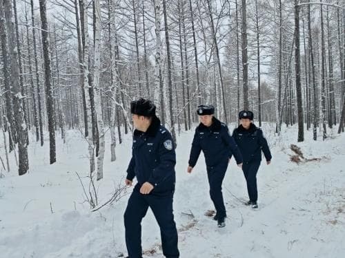冬季行动 | 巡山护林，守护野生动物寒冬家园