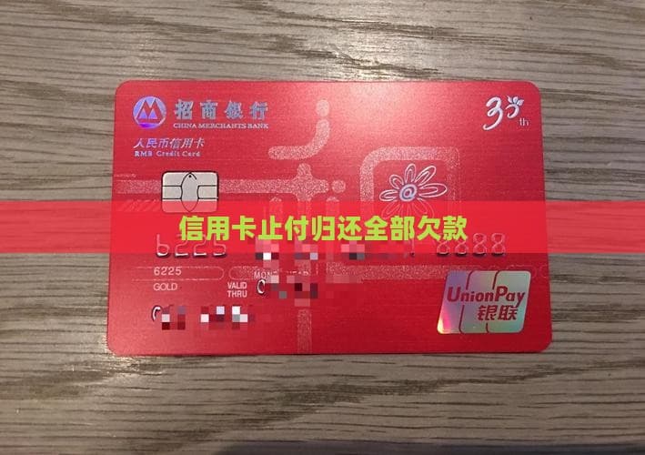 信用卡止付后如何归还全部欠款？这份指南请收好