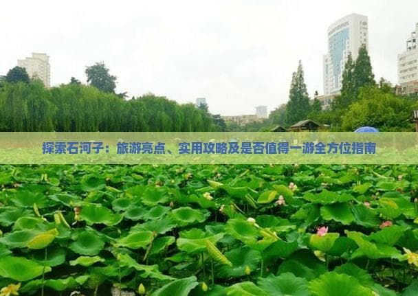 探索石河子：旅游亮点、实用攻略及是否值得一游全方位指南
