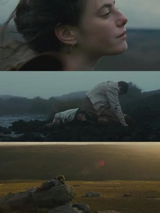 情人节档期上映，新版《呼啸山庄》将如何再现经典？
