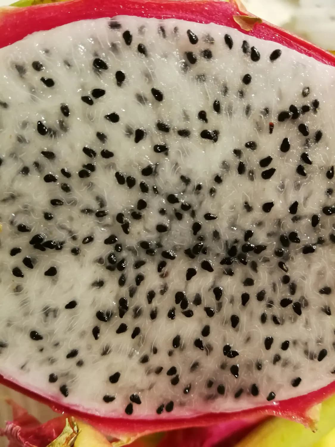 火龙果：均衡饮食的秘密武器！