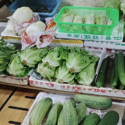 青梅种植的丰产优质栽培技术