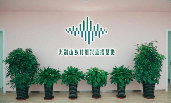“小屏幕”链接“大市场” 直播经济培育解锁霍山致富新密码