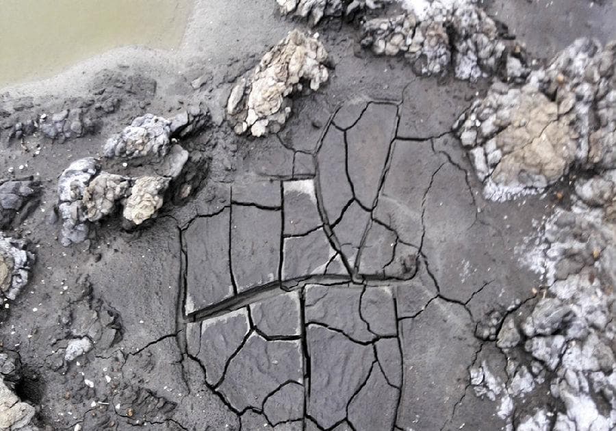 公路软土地基“排水固结法”处理技术研究进展及应用