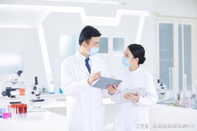 维生素B族检测：功能、方法与健康意义