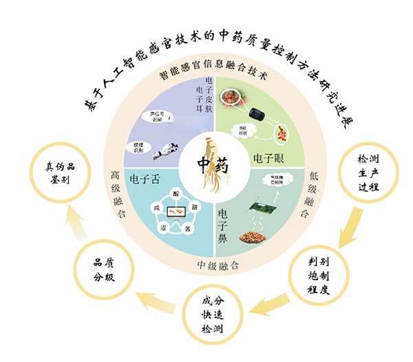 基于人工智能感官技术的中药质量控制方法研究进展