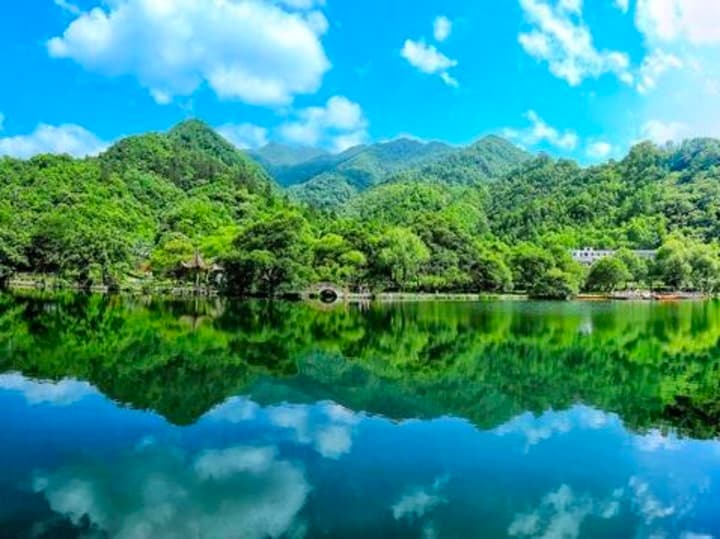 “陇上江南”绿色崛起万象新