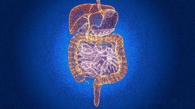 脾虚持续10天、1个月、100天、1年，身体有啥症状？如何调理？