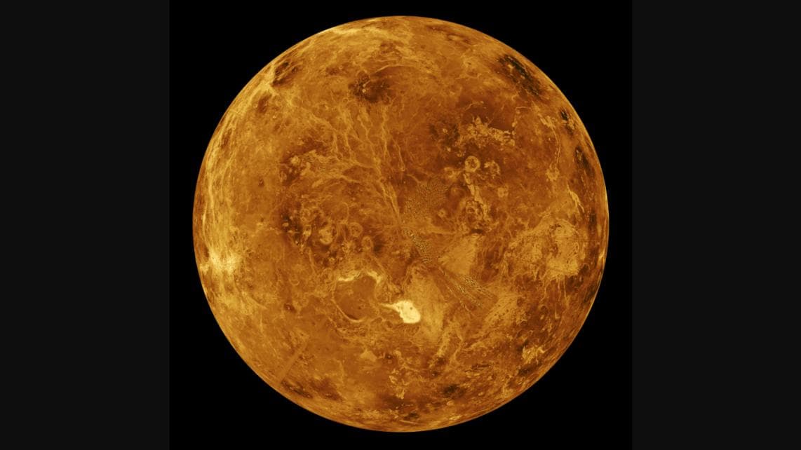 金星承载着生命的希望吗？