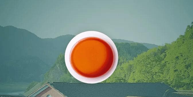 黑茶入门者，这8个问题一定要搞清楚