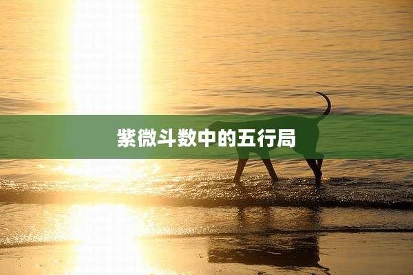 紫微斗数中的五行局