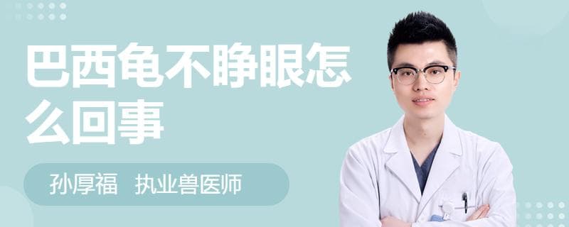 巴西龟不睁眼怎么回事