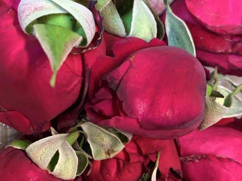 红豆山药糕
