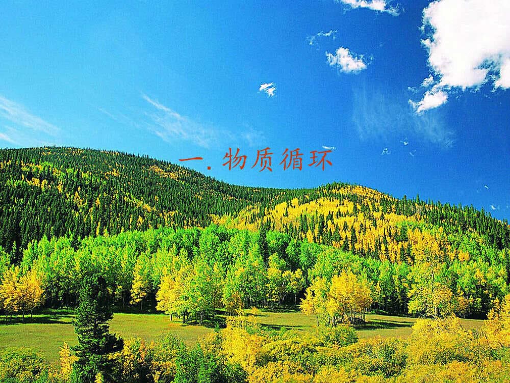 生态系统中的物质循环