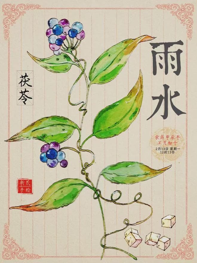 二十四节气24种“补剂”！这份一整年节气养生食补攻略请收好！