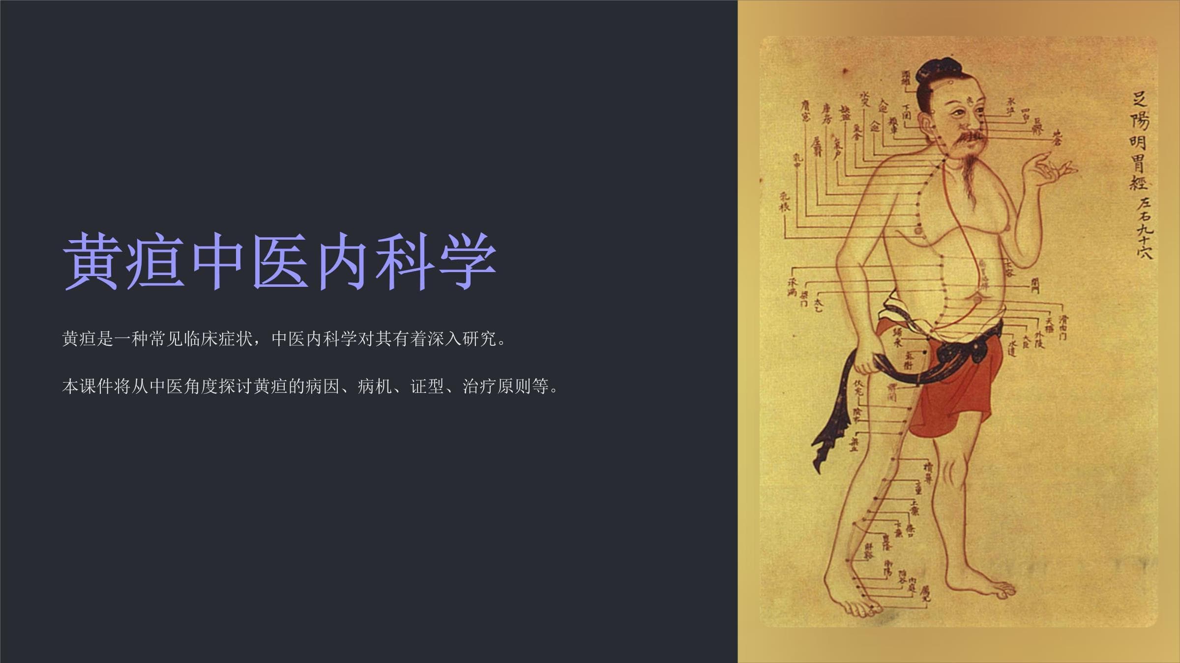 《黄疸中医内科学》课件